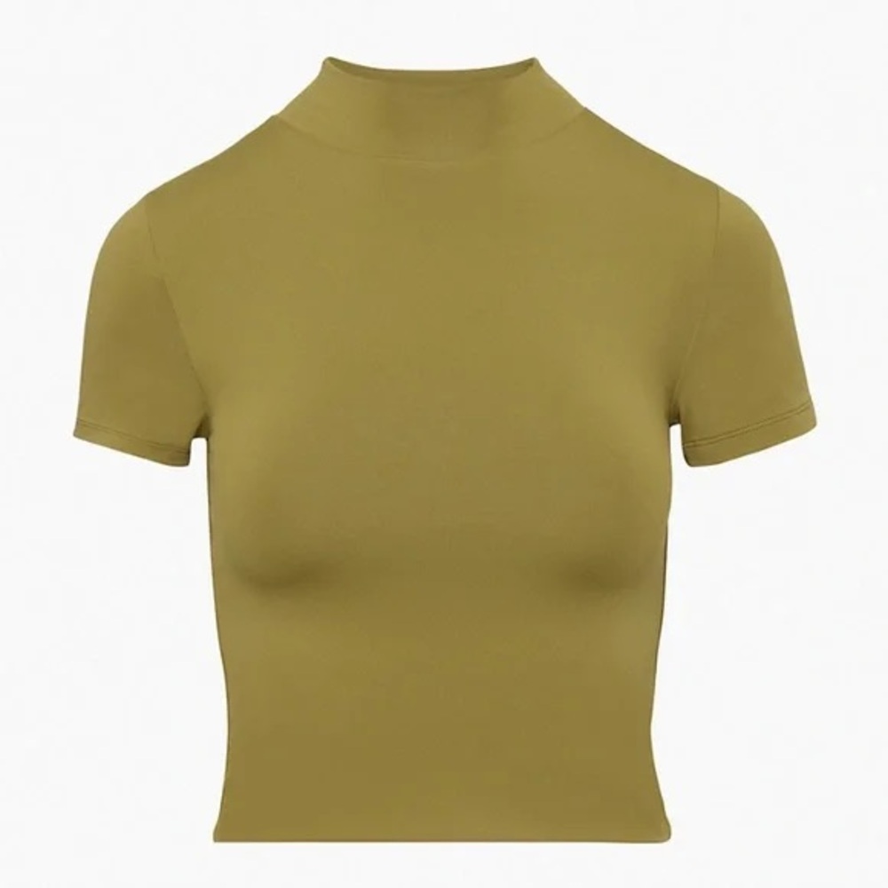 Aritzia / Babaton Contour Mockneck Tee